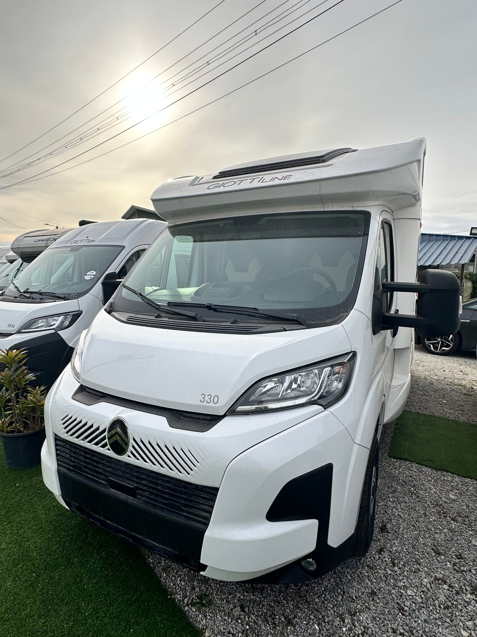 Giottiline 330 Siena